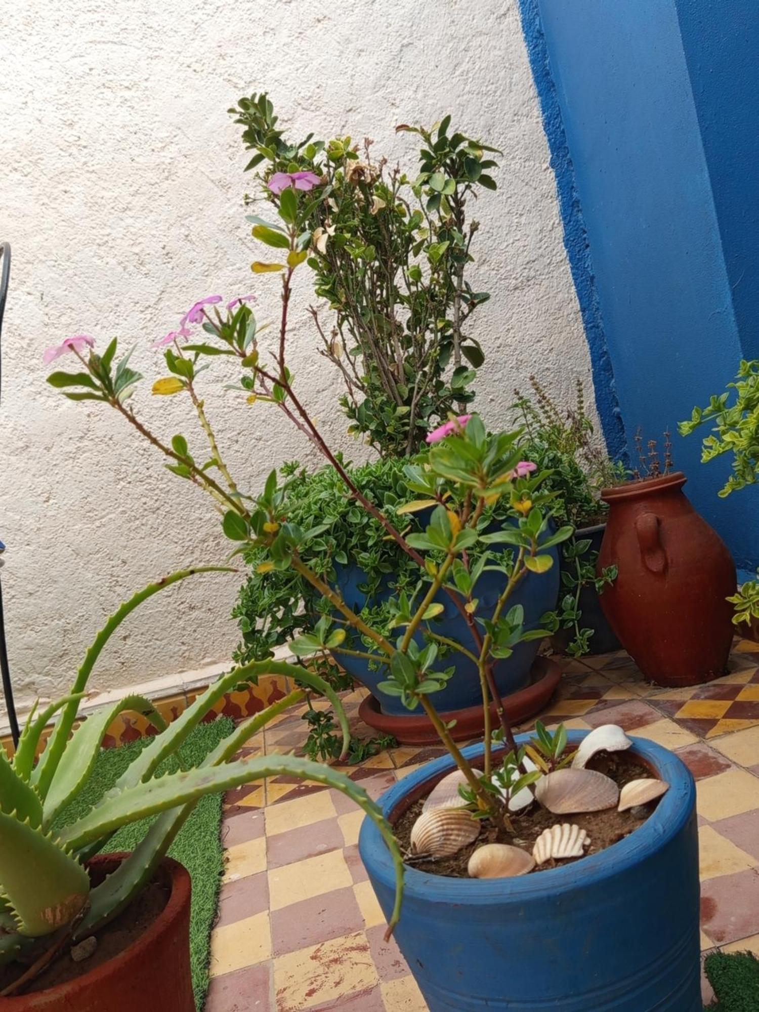 Riad Derb El Aarsa Marrakesh Eksteriør bilde